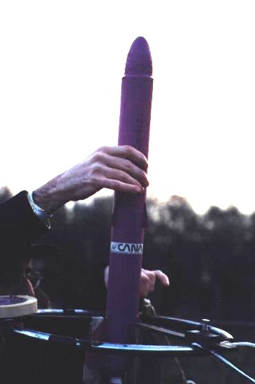 purple rocket2.jpg (14564 byte)